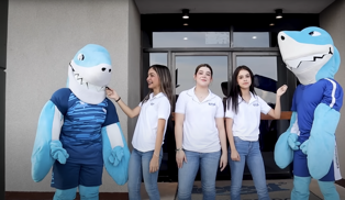 Descripción IMG